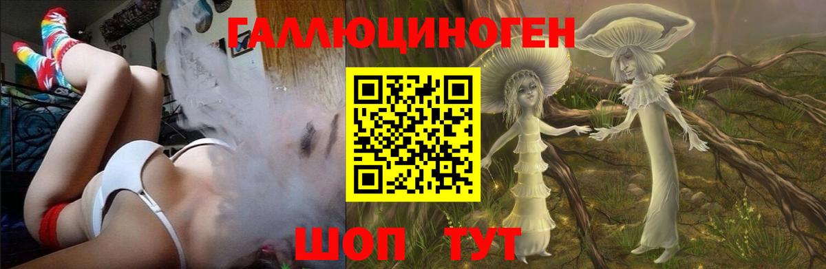 Псилоцибиновые грибы мицелий Гурьевск